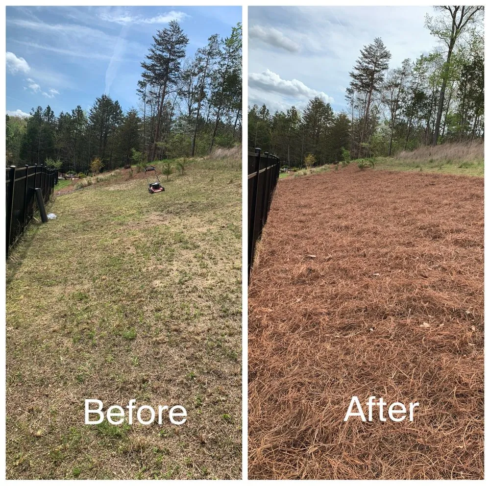 Local lawn mowing service in Winston-Salem, NC by T Rivera Landscaping