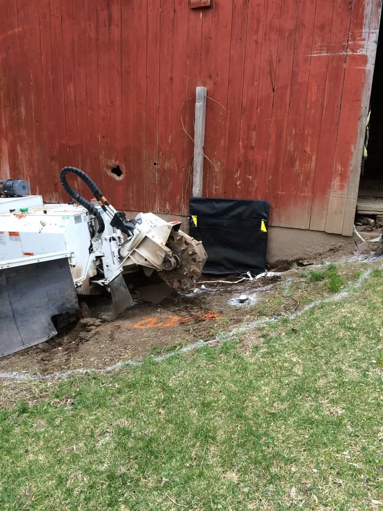 Professional yard maintenance in Commerce Twp, MI - T-Rox Stump Grinding