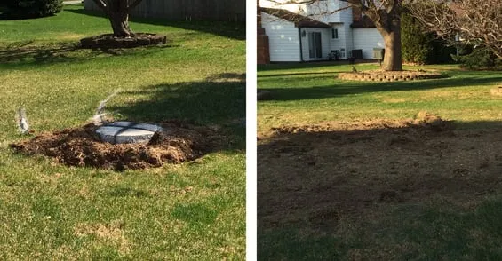 Expert garden landscaping for residential properties across Commerce Twp, MI - T-Rox Stump Grinding