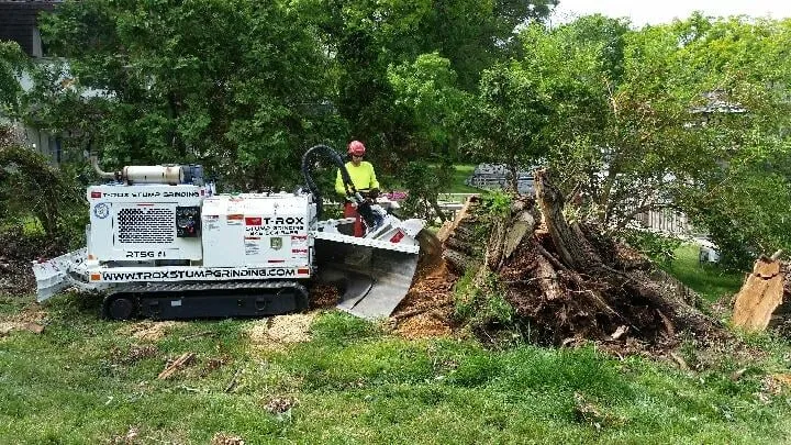Trusted yard maintenance in Commerce Twp, MI - T-Rox Stump Grinding