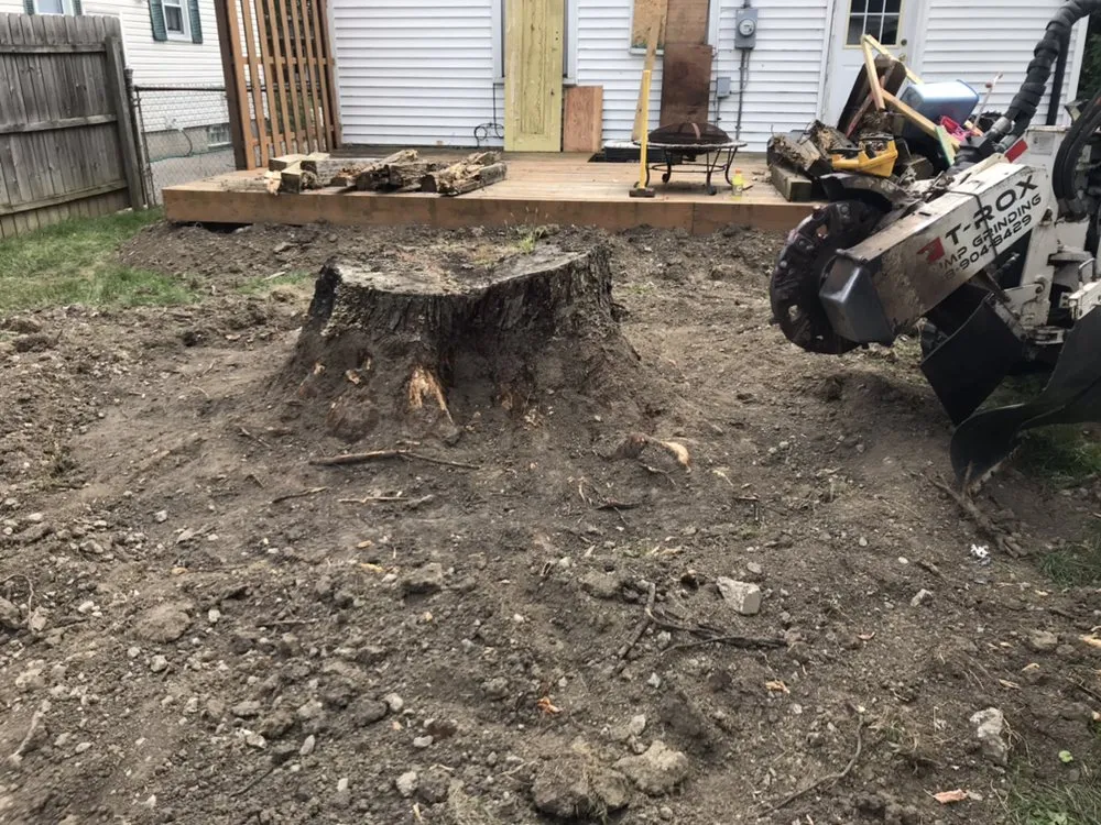 Top-rated landscape design in Commerce Twp, MI by T-Rox Stump Grinding