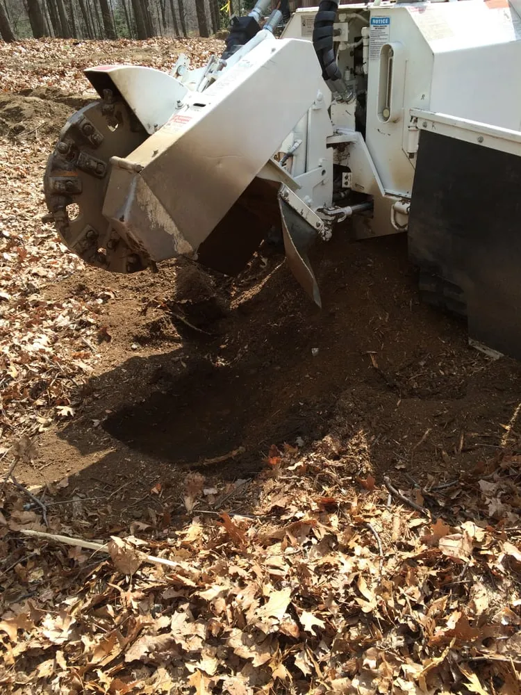 Affordable outdoor landscaping for residential properties across Commerce Twp, MI - T-Rox Stump Grinding