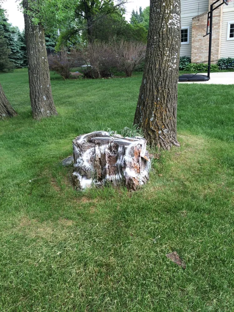 Expert yard maintenance in Commerce Twp, MI - T-Rox Stump Grinding