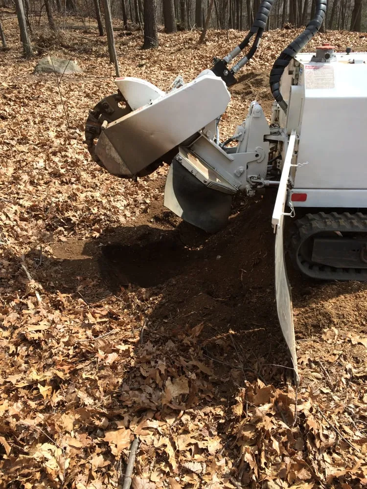 Custom lawn mowing service for outdoor upgrades across Commerce Twp, MI - T-Rox Stump Grinding