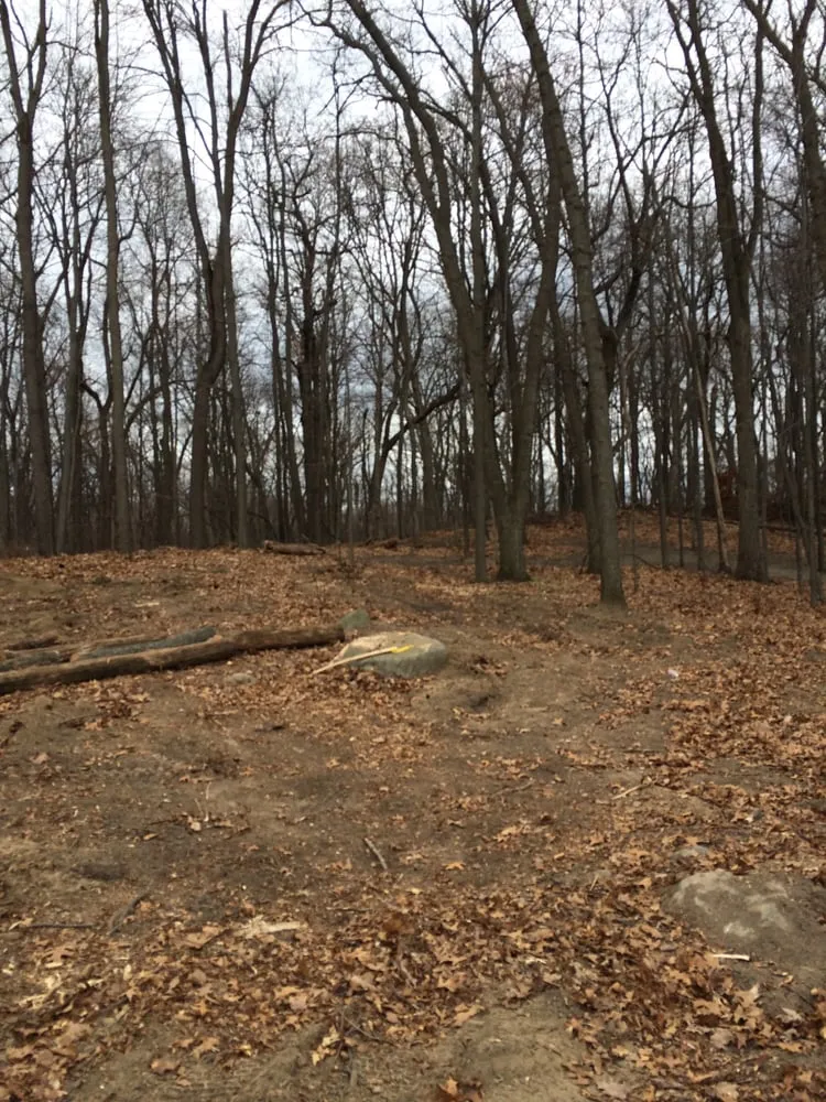 Local yard cleanup service in Commerce Twp, MI - T-Rox Stump Grinding