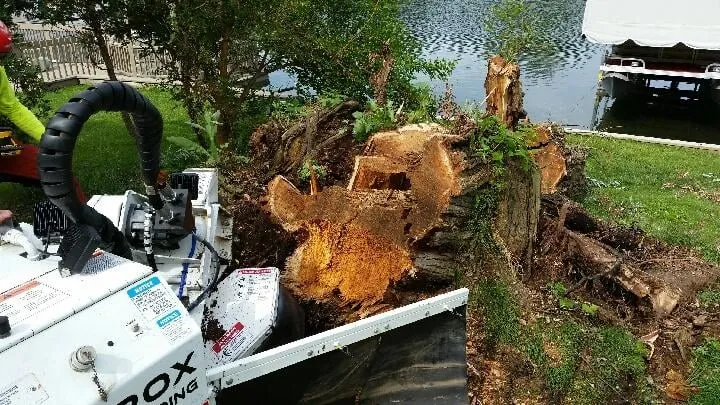 Local residential landscaping in Commerce Twp, MI by T-Rox Stump Grinding