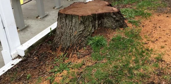 Trusted landscape installation near you in Commerce Twp, MI by T-Rox Stump Grinding
