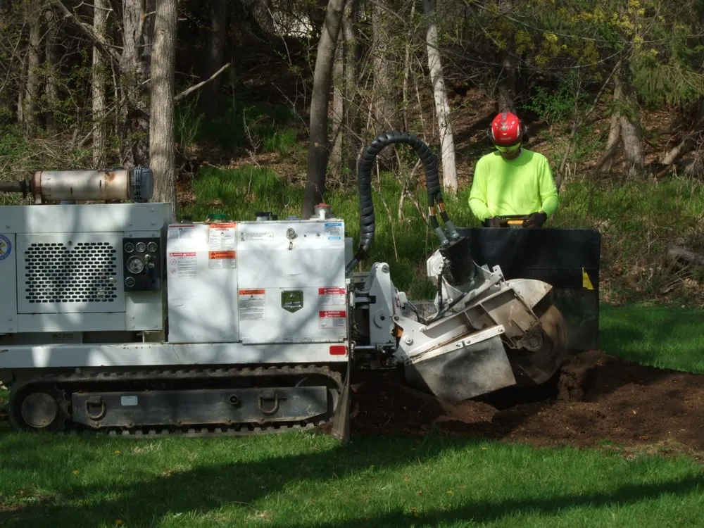 Expert residential landscaping for beautiful yards in Commerce Twp, MI by T-Rox Stump Grinding