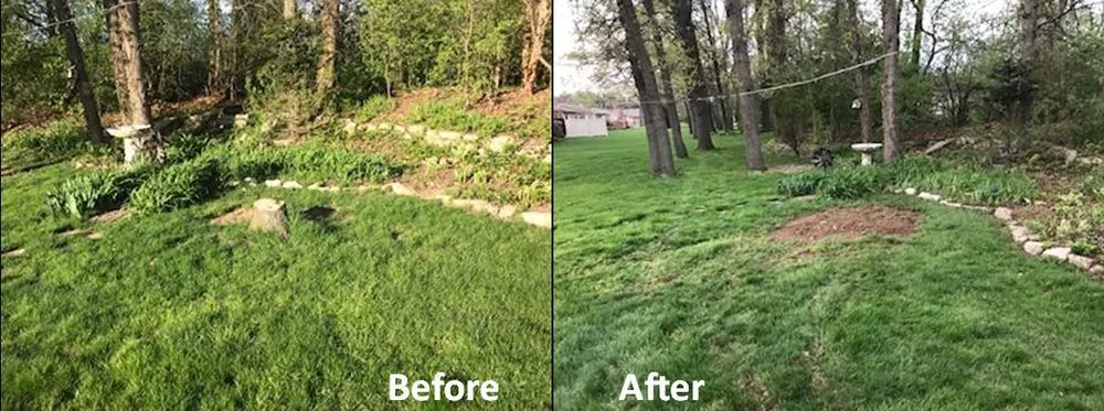 Custom landscaping services in Waterford, MI - T-Rox Stump Grinding