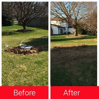 Local yard maintenance in Waterford, MI - T-Rox Stump Grinding