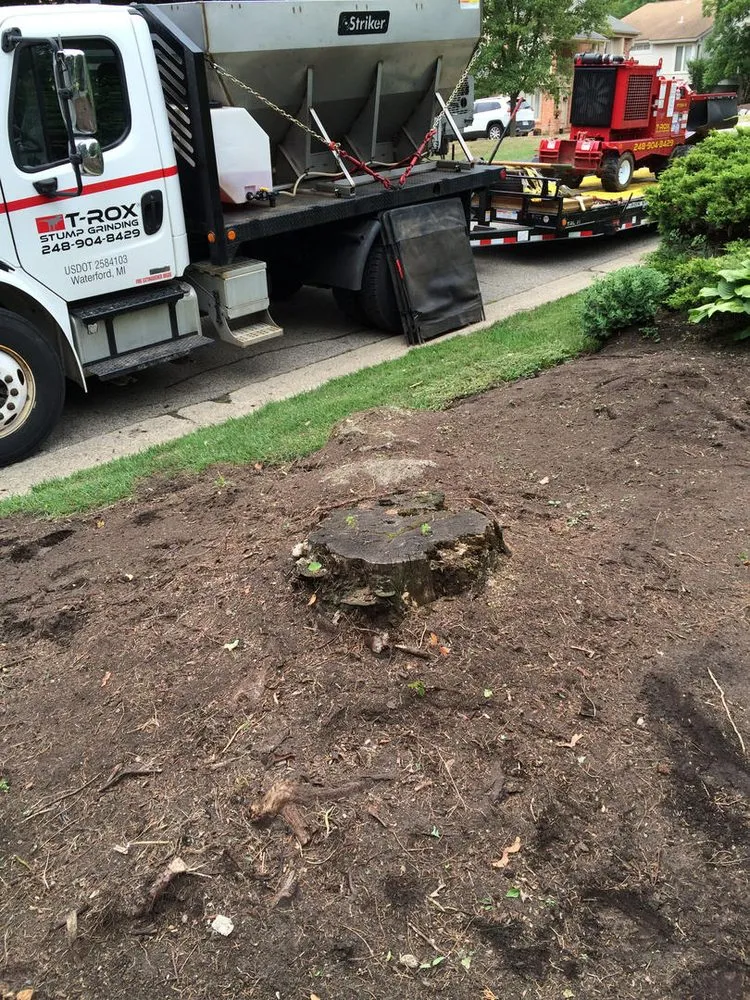 Custom lawn mowing service for residential properties in Waterford, MI by T-Rox Stump Grinding