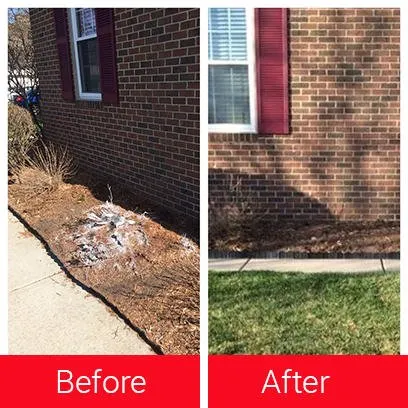 Top-rated residential landscaping in Waterford, MI by T-Rox Stump Grinding