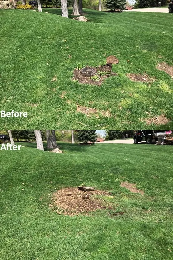 Expert yard maintenance for residential properties in Waterford, MI by T-Rox Stump Grinding