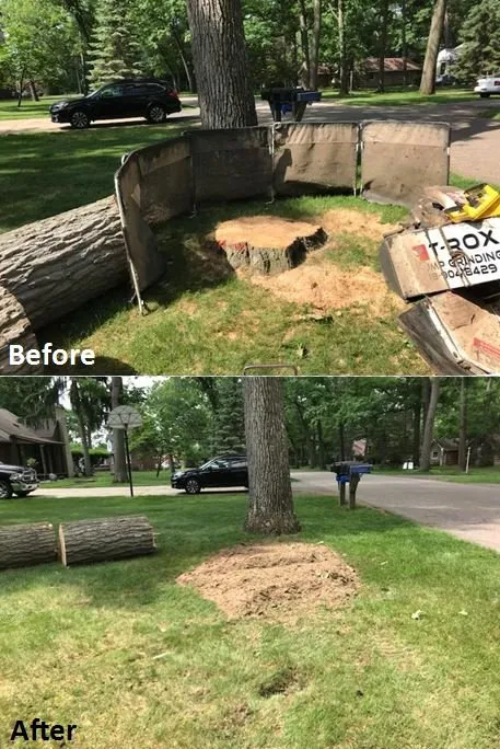 Trusted landscaping services in Waterford, MI - T-Rox Stump Grinding