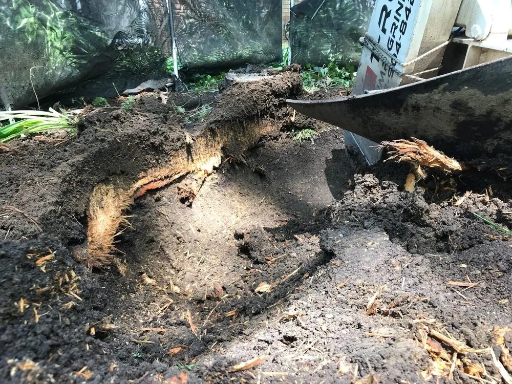 Top-rated outdoor landscaping near you across Waterford, MI - T-Rox Stump Grinding