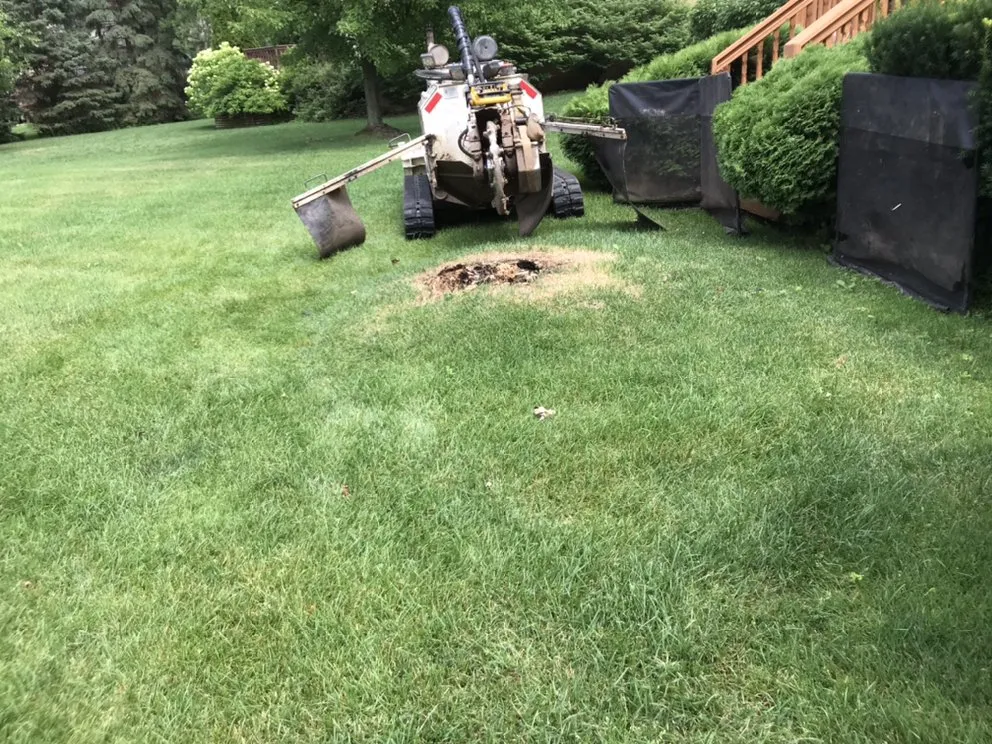 Custom lawn care service for beautiful yards across Waterford, MI - T-Rox Stump Grinding