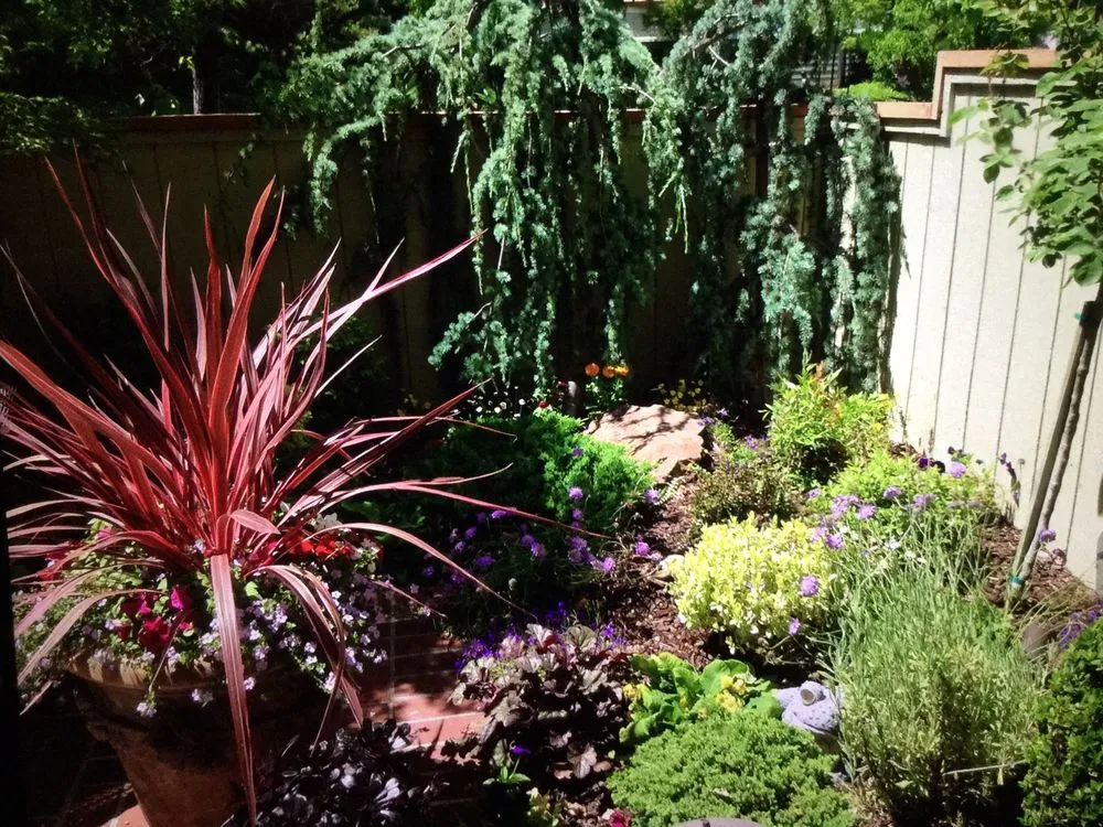 Reliable landscape design in Concord, CA - T S Gardencare & Landscape Service