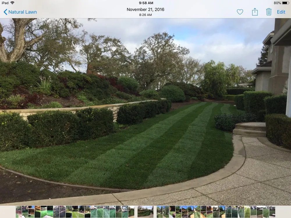 Top-rated landscaping services in Concord, CA - T S Gardencare & Landscape Service