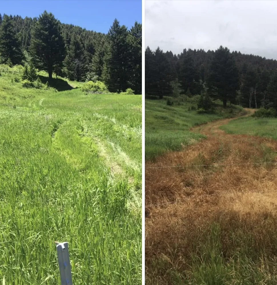 Top-rated outdoor landscaping in Bozeman, MT - T S Spraying And Snow Removal