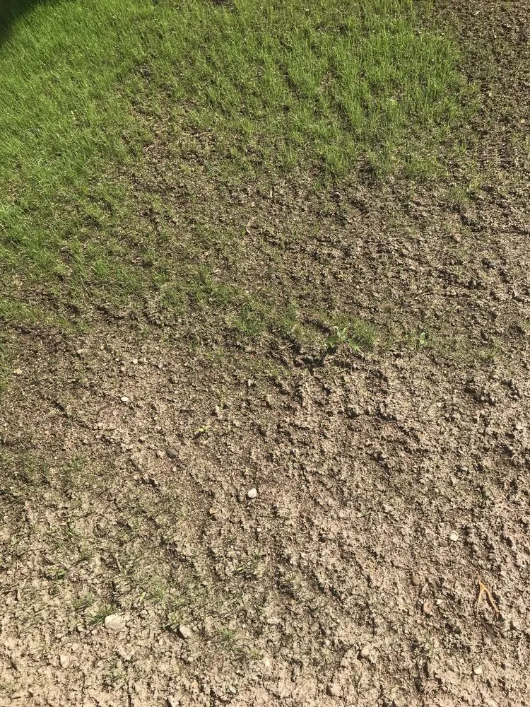 Reliable outdoor landscaping experts serving Dighton, MA - T-Scape