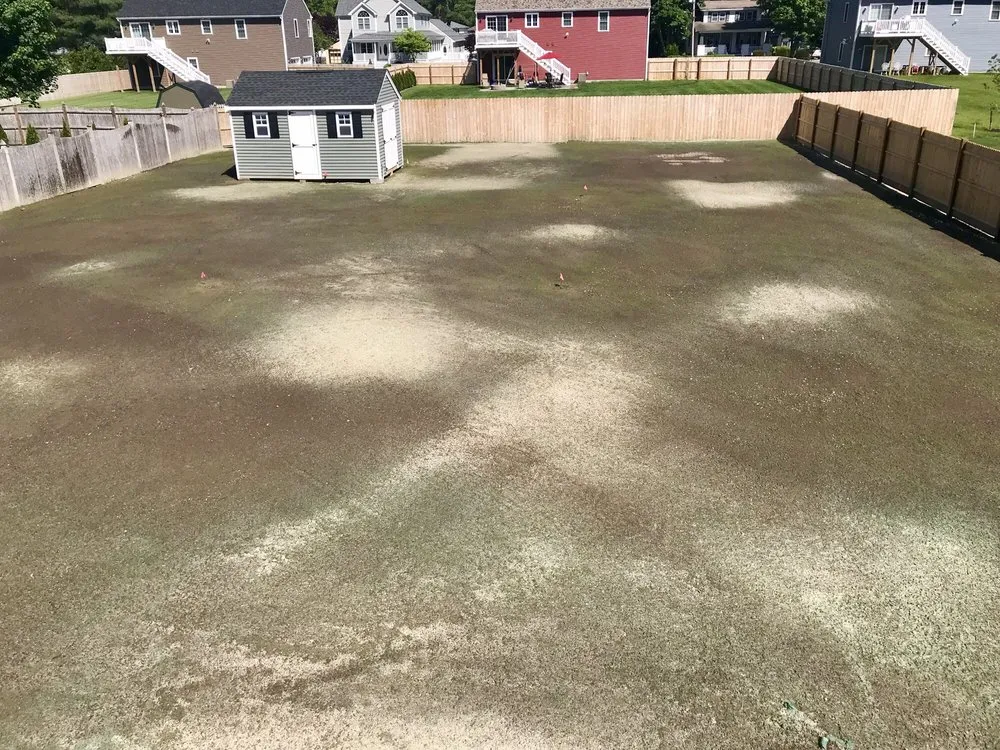 Custom landscaping services experts serving Dighton, MA - T-Scape