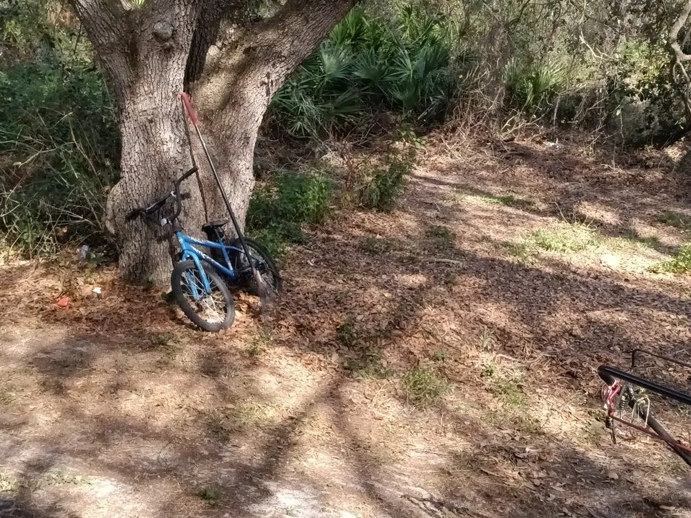 Expert landscape installation for homes across Lake Placid, FL - T ,T and J Affordable Lawn and Landscaping