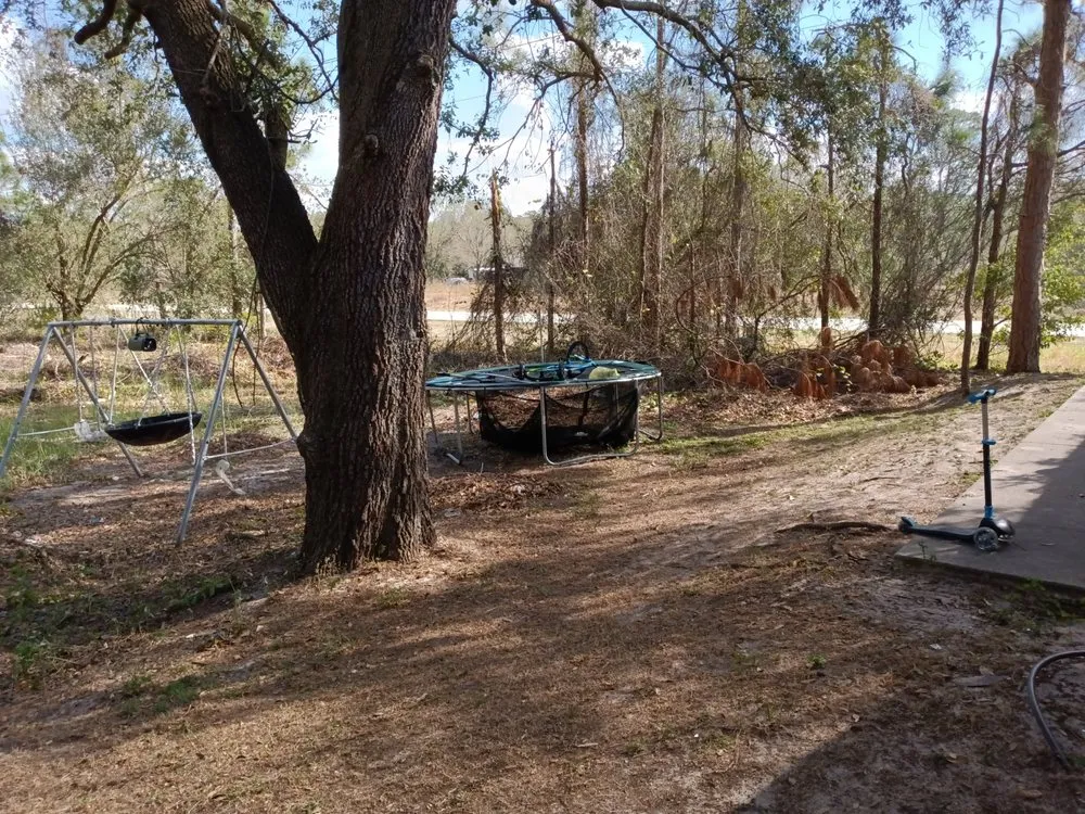 Reliable yard maintenance in Lake Placid, FL by T ,T and J Affordable Lawn and Landscaping