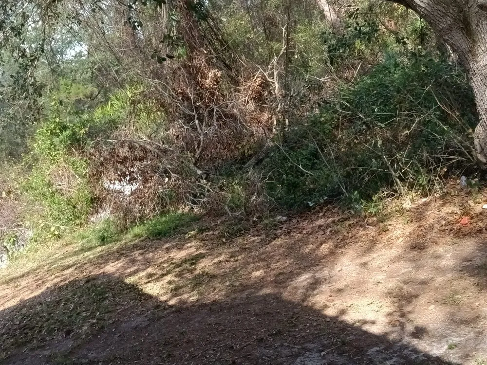 Top-rated landscaping services in Lake Placid, FL by T ,T and J Affordable Lawn and Landscaping