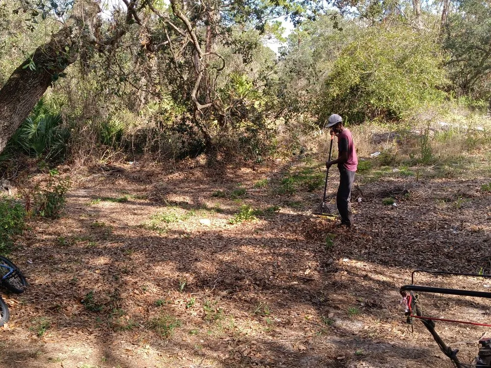 Local residential landscaping for beautiful yards in Lake Placid, FL by T ,T and J Affordable Lawn and Landscaping