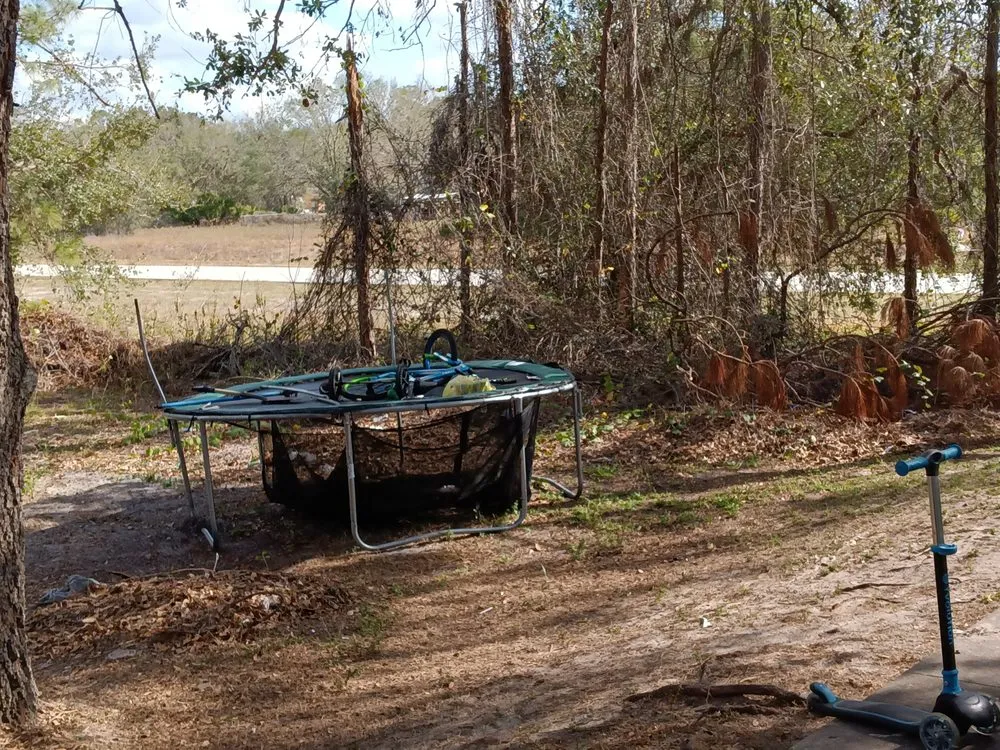 Custom landscaping services in Lake Placid, FL - T ,T and J Affordable Lawn and Landscaping