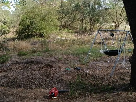 T ,T and J Affordable Lawn and Landscaping Logo