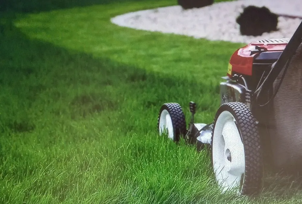 Local garden landscaping in Cassville, MO - T Terry Mowing