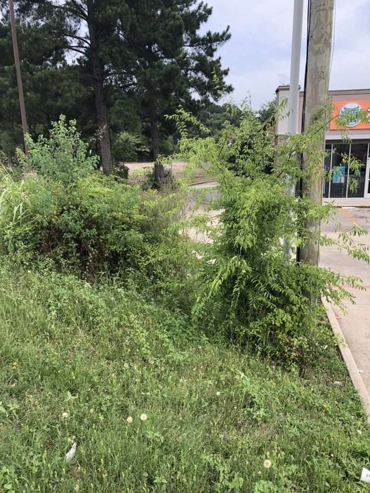 Custom garden landscaping in Gilmer, TX by T-Tom's Lawn Care