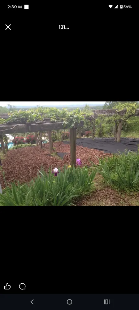 Reliable landscaping services with custom design in North Wilkesboro, NC by T total cleaning pressure washing &landscaping