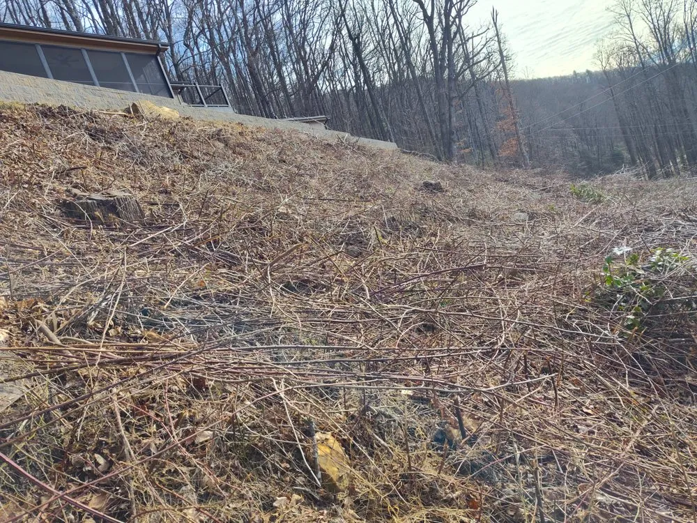 Custom yard maintenance for residential properties across North Wilkesboro, NC - T total cleaning pressure washing &landscaping