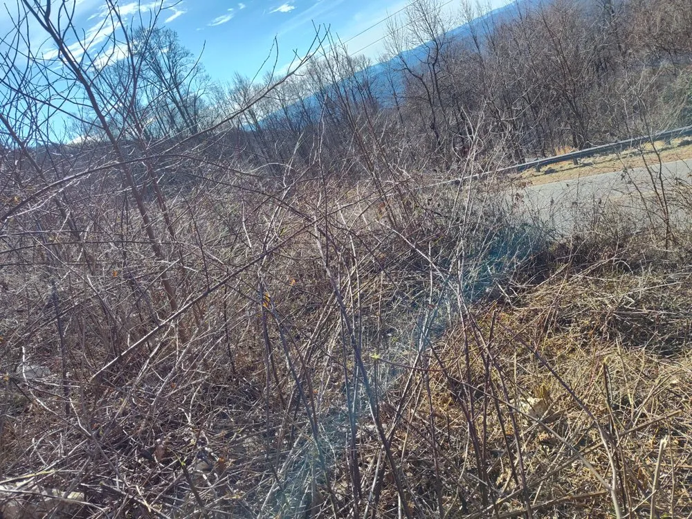 Affordable lawn care service for year-round maintenance across North Wilkesboro, NC - T total cleaning pressure washing &landscaping