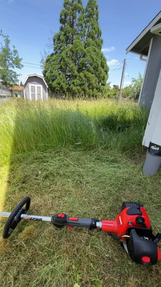 Top-rated landscape design experts serving Tacoma, WA - T Town Home Services