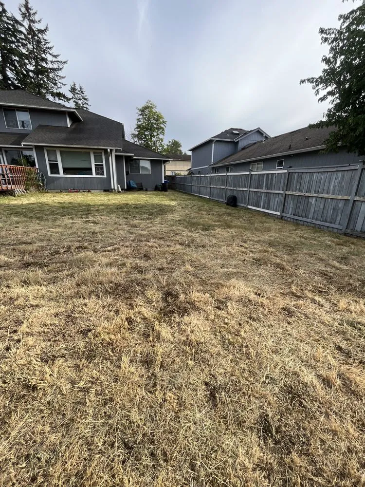 Reliable outdoor landscaping in Tacoma, WA by T Town Home Services