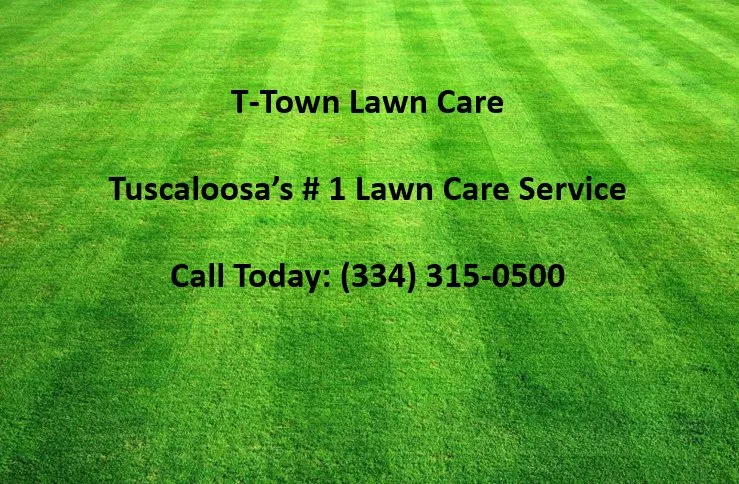 Top-rated landscape installation for year-round maintenance across Tuscaloosa, AL - T-Town Lawn Care