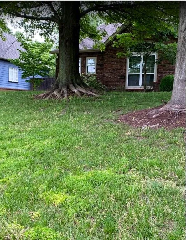 Professional outdoor landscaping in Tulsa, OK by T-Town Mowing
