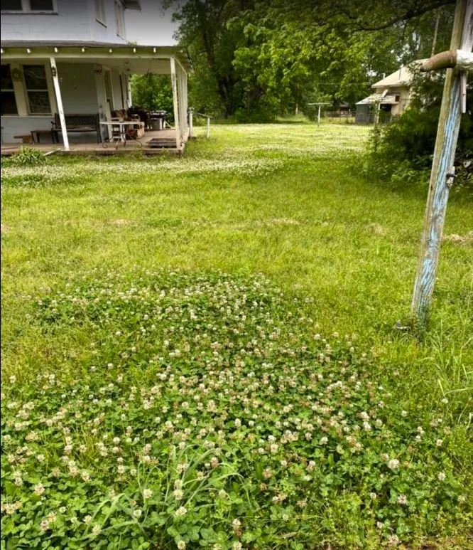 Trusted outdoor landscaping in Tulsa, OK by T-Town Mowing