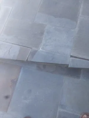 T. Tran Landscaping Logo