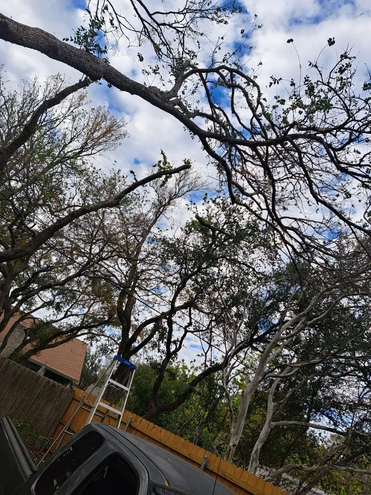 Reliable outdoor landscaping in Austin, TX - T1 and Done