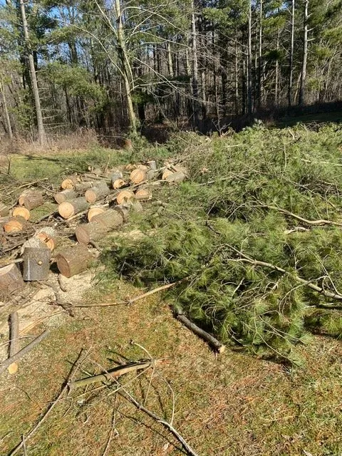 Professional lawn mowing service for year-round maintenance across Barberton, OH - T2 Design Lawn and Landscape