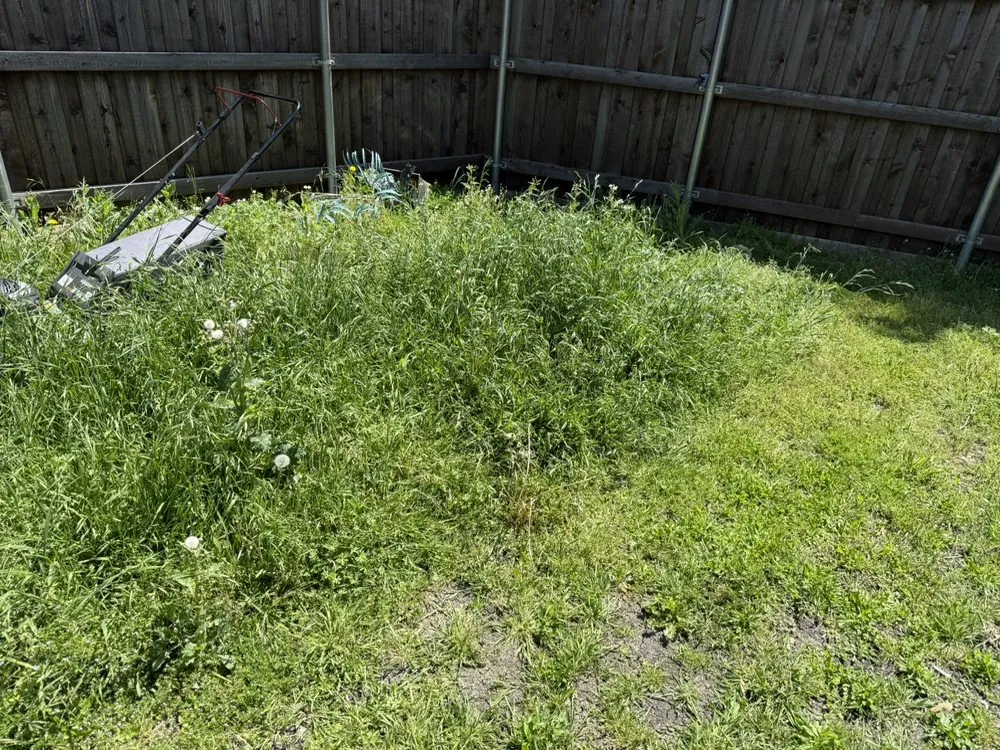 Expert yard maintenance in Garland, TX - T22 Lawn Cutters