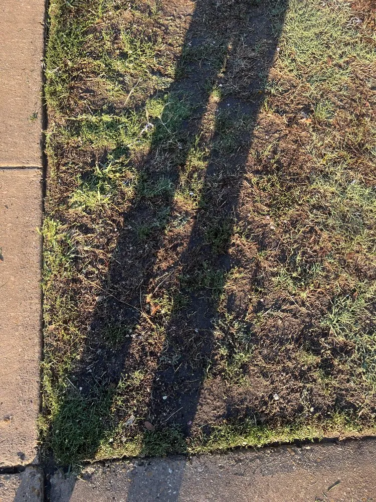 Local yard maintenance for homes across Garland, TX - T22 Lawn Cutters