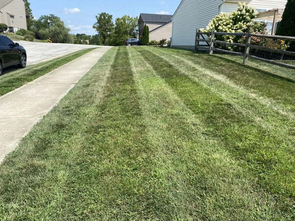 Top-rated outdoor landscaping with custom design across Cincinnati, OH - T2B Lawn Care