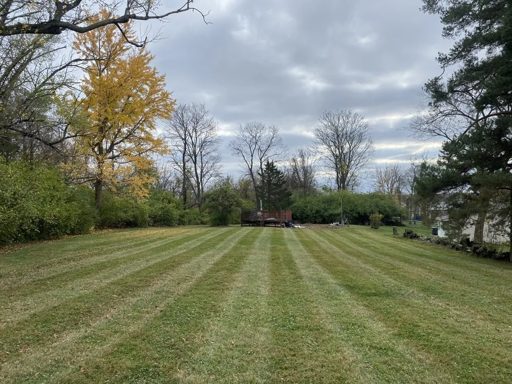 Professional yard cleanup service in Cincinnati, OH by T2B Lawn Care