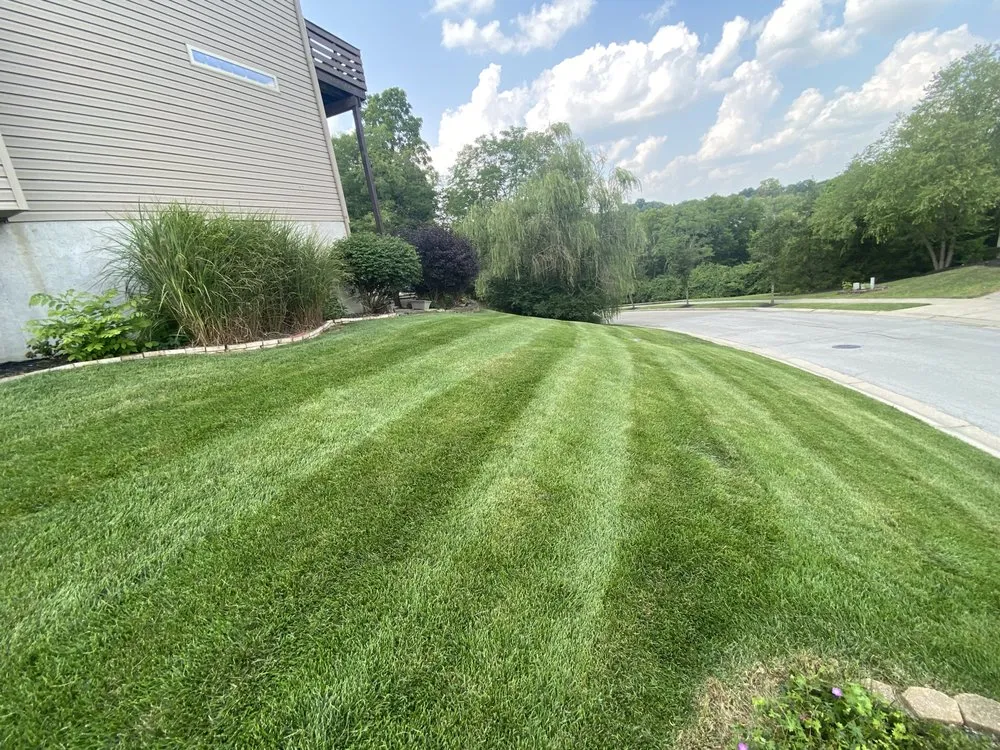 Expert yard cleanup service with custom design across Cincinnati, OH - T2B Lawn Care