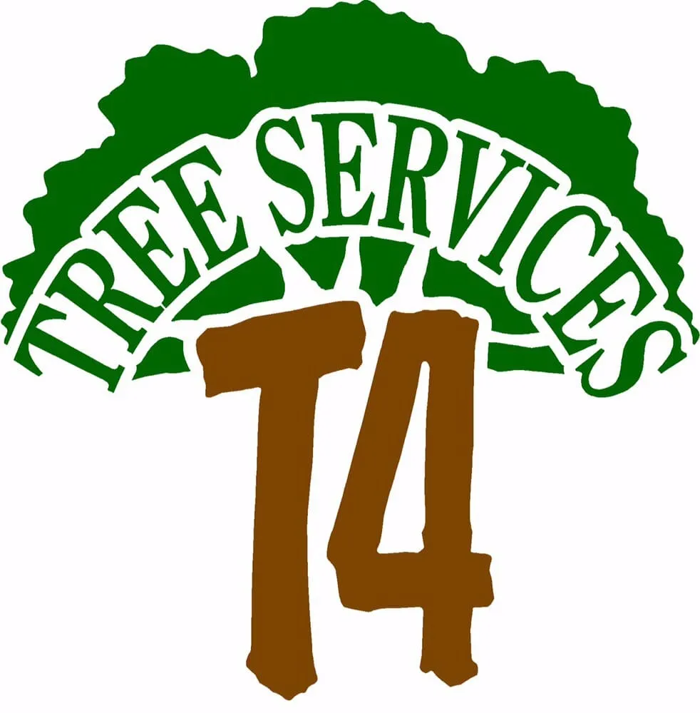 Expert yard maintenance for homes in Grand Junction, CO by T4 Tree Services